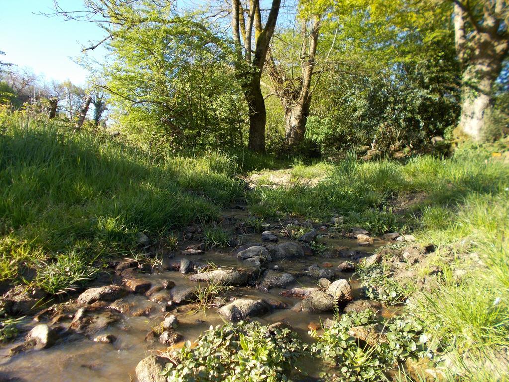 Terre Et Eau Gite Sevremont La Flocellière Exterior foto